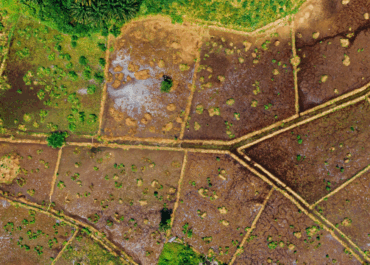 La nueva oportunidad en terrenos que está revolucionando el mercado en México