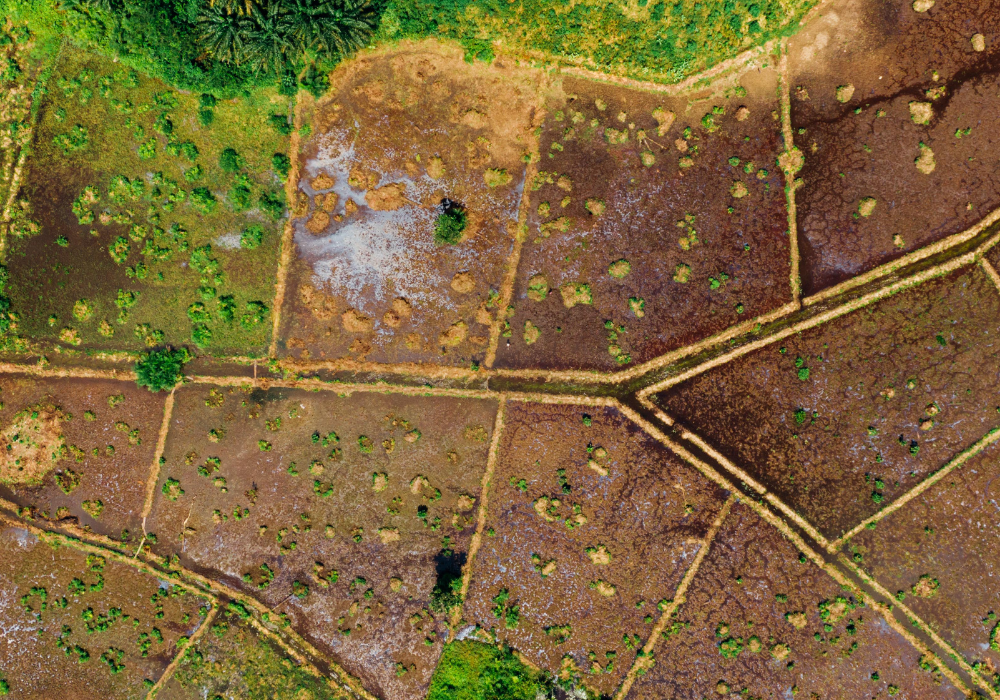 La nueva oportunidad en terrenos que está revolucionando el mercado en México