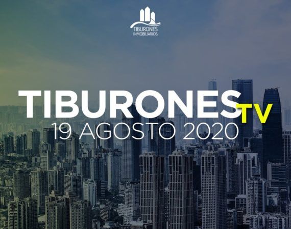 TIBURONES TV 19 AGOSTO 20