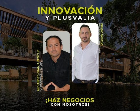 INNOVACIÓN Y PLUSVALÍA